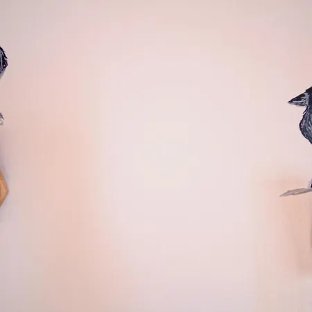Curious Crow 3 By Homeful Homes Apartment Lisbon